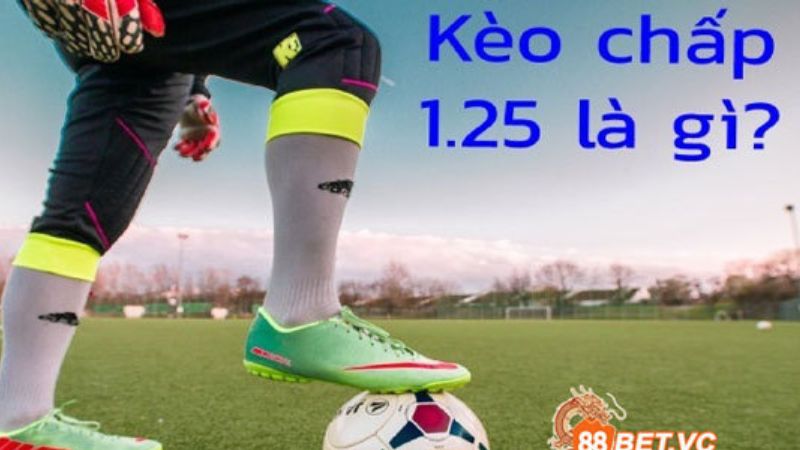 keo-chap-1.25-8xbet-