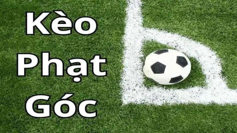 keo-phat-goc-8xbet