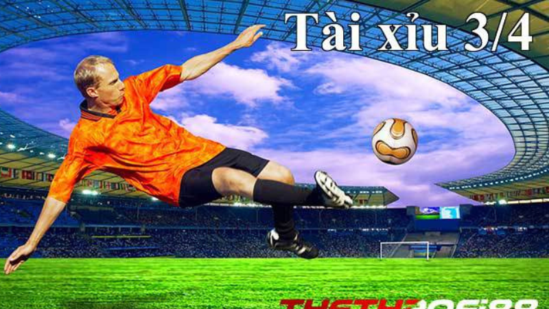 soi-keo-tai-xiu-3_4-8xbet (2)